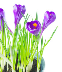 Similar image 11143567