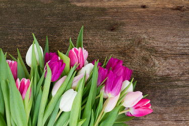 Similar image 11143781