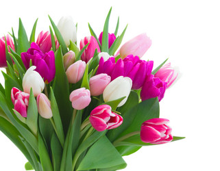 Similar image 11143783