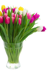 Similar image 11143784