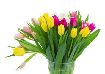 Similar image 11143805