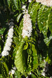 Similar image 10963612