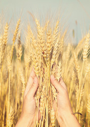 Similar image 10963619