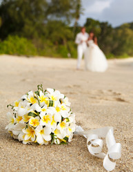 Similar image 11147473