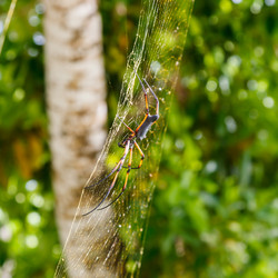 Similar image 10963576