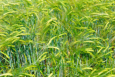 Similar image 10963582