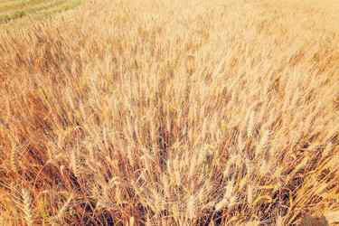 Similar image 10963494