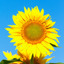 Similar image 10963495