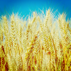 Similar image 10963514