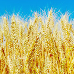 Similar image 10963518