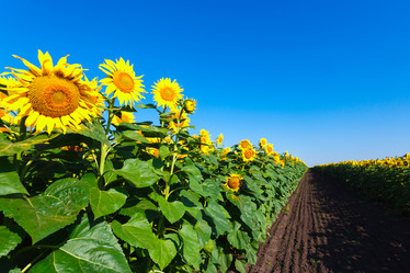 Similar image 10963519