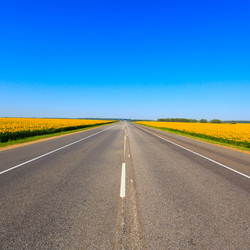 Similar image 10963521