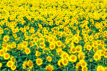 Similar image 10963522