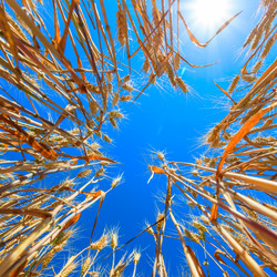 Similar image 10963643