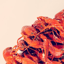 Similar image 10963462