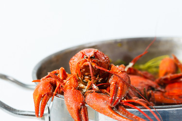 Similar image 10963478