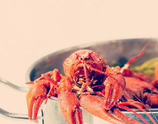 Similar image 10963372