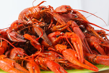 Similar image 10963388