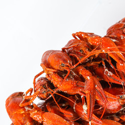 Similar image 10963390