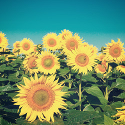 Similar image 10963392