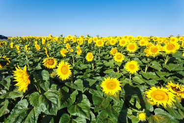 Similar image 10963396