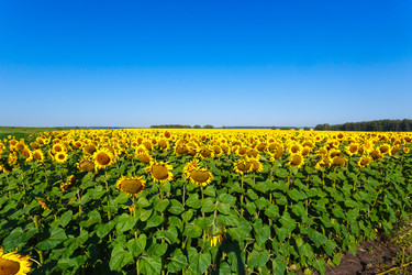 Similar image 10963398