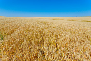 Similar image 10963505