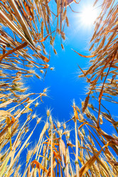 Similar image 10963507