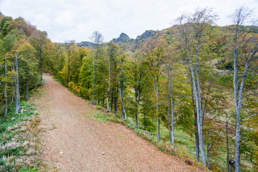 Similar image 10962192