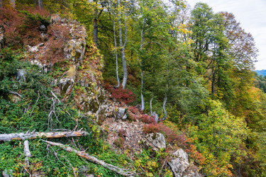 Similar image 10962193