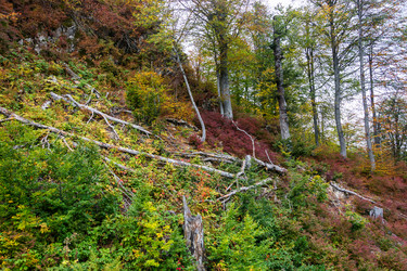 Similar image 10962194