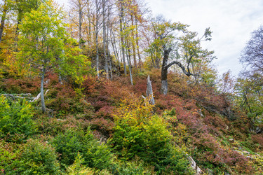 Similar image 10962195