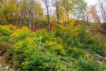 Similar image 10962212