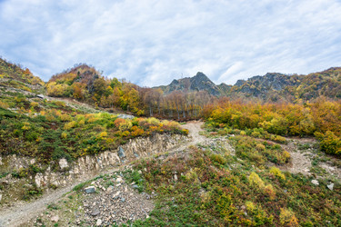 Similar image 10962216