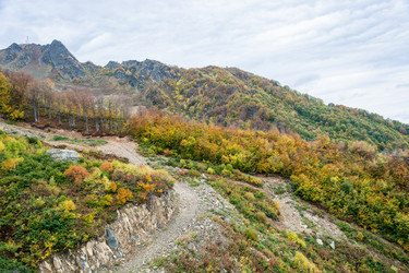 Similar image 10962217