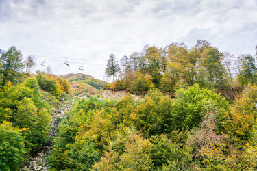 Similar image 10962221