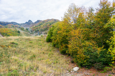 Similar image 10962223