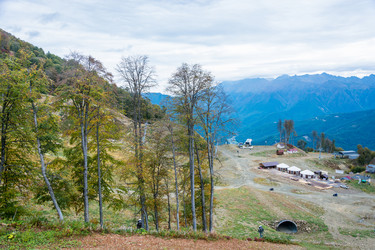 Similar image 10962225