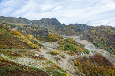 Similar image 10962228