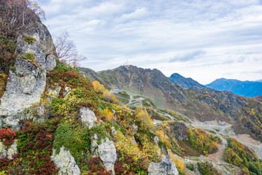 Similar image 10962312