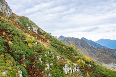 Similar image 10962315