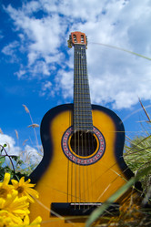 Similar image 11174662