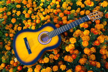 Similar image 11174669