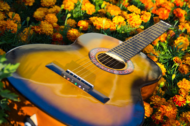 Similar image 11174743