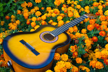 Similar image 11174745