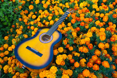 Similar image 11173017