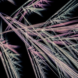 Similar image 11046488