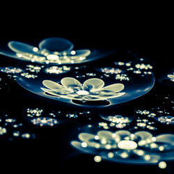 Similar image 11046529