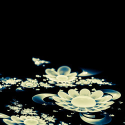 Similar image 11046549