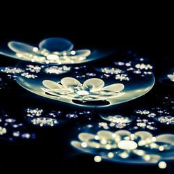 Similar image 11046919